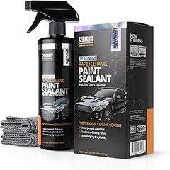 Alternativas efectivas a los spray sealants para proteger tu coche