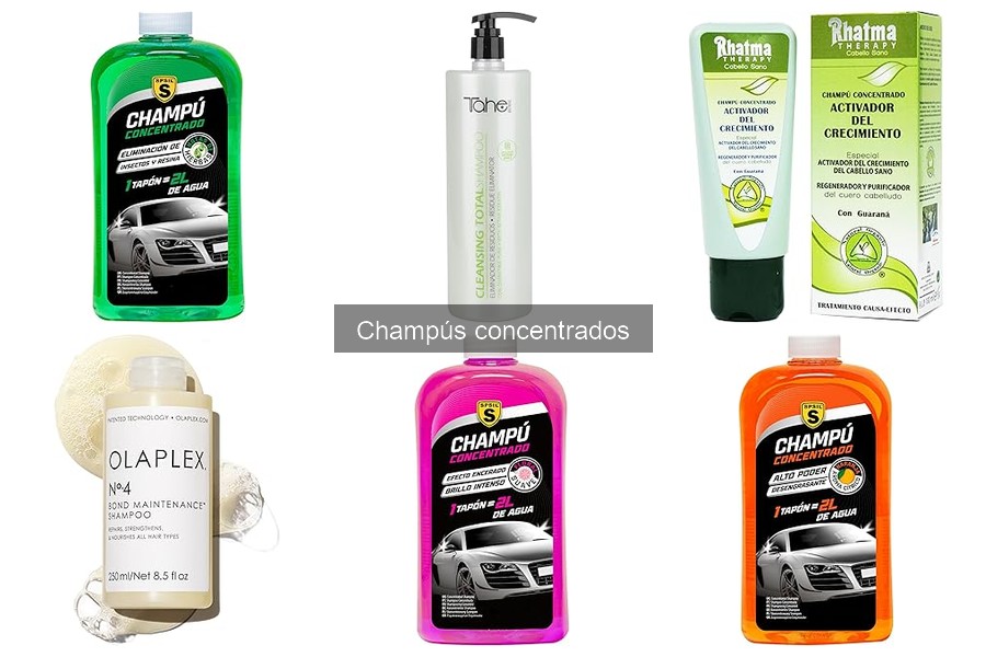 Cantidad Ideal de Champú Concentrado para Coche