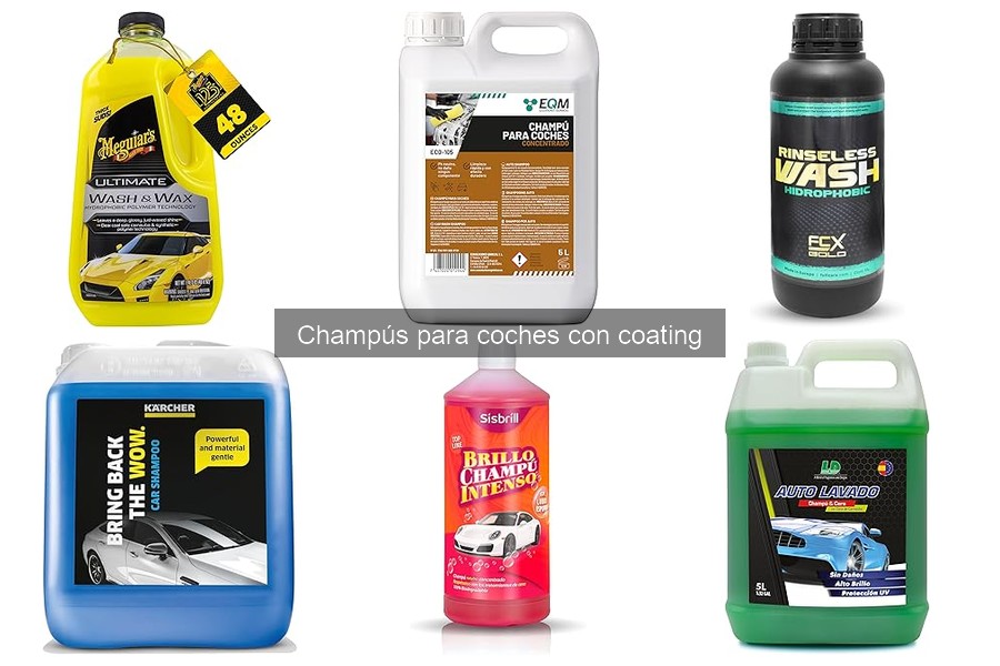 Comparativa: Champús para coches con coating vs. convencionales
