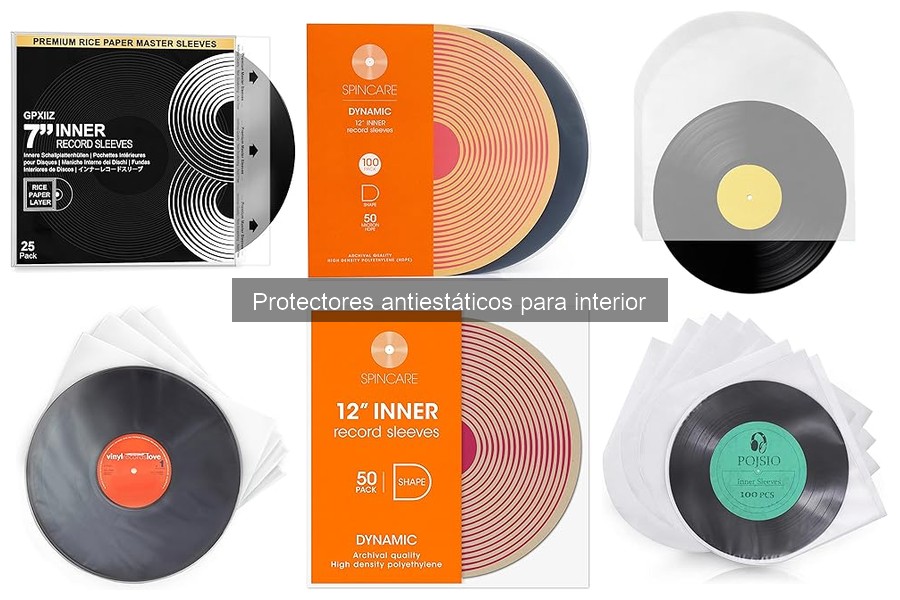 ** Efectos Negativos de No Usar Protectores Antiestáticos en el Coche