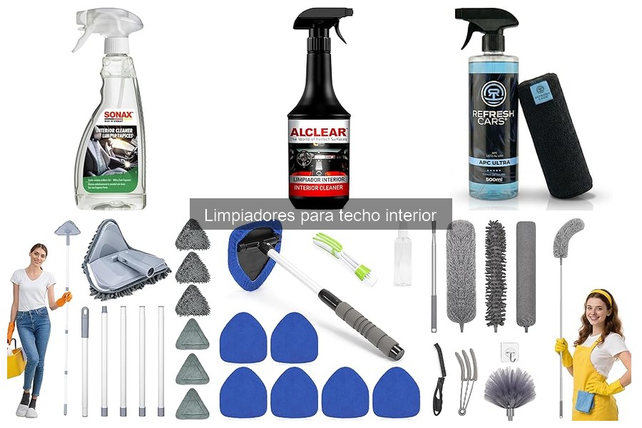 Guía de compra de limpiadores para techo interior