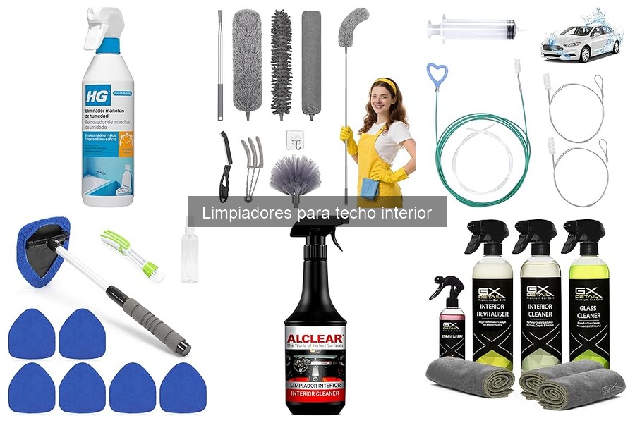 Limpiadores para Techo Interior Ecológicos: Mejores Opciones