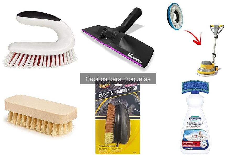 Ventajas y Desventajas de los Cepillos para Moquetas